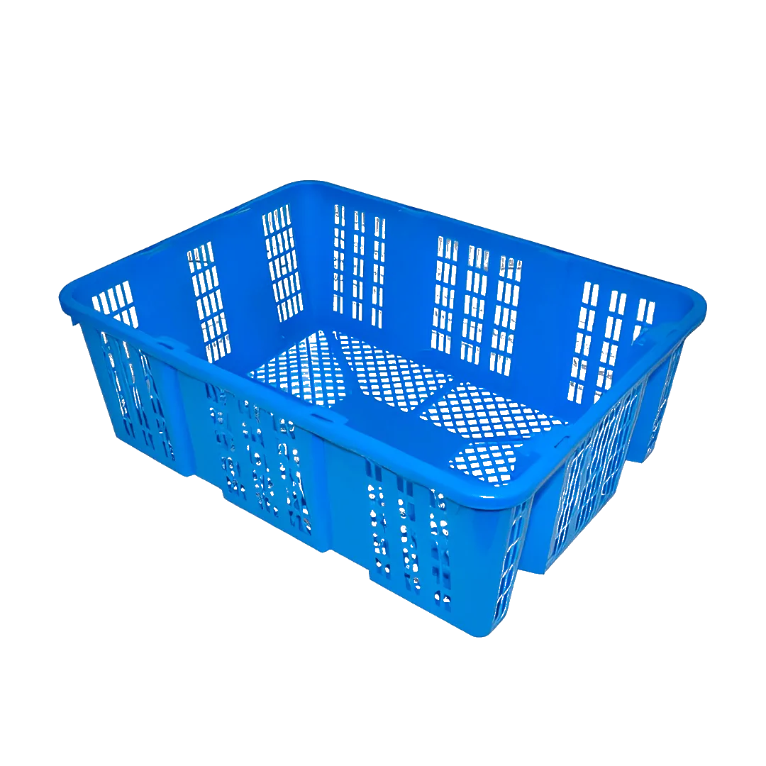 Caja Bamba'o
