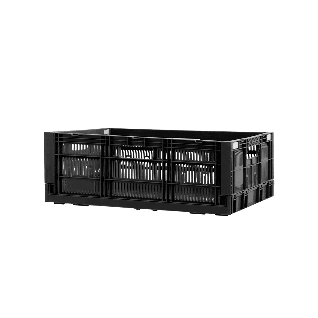 Caja CPR Colapsable 21 De Reproceso