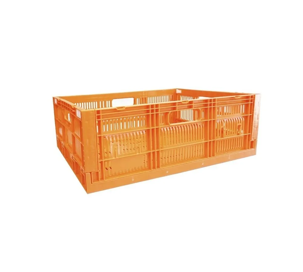 Caja CPR Colapsable 21