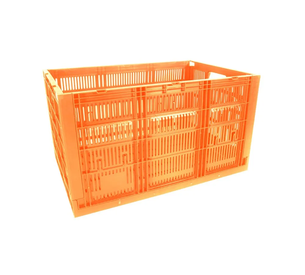 Caja CPR Colapsable 34