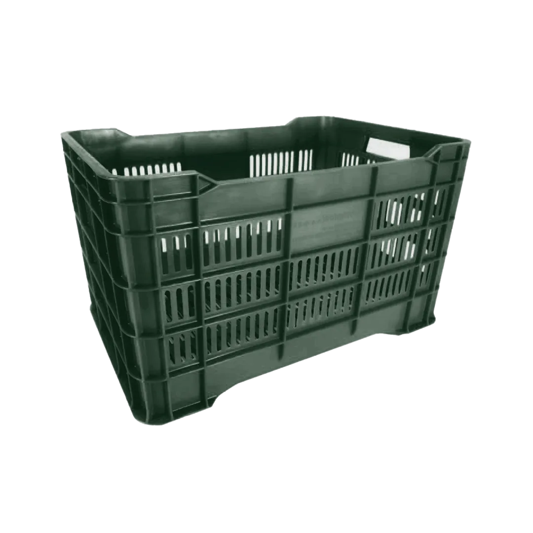 Caja María Calada De Reproceso