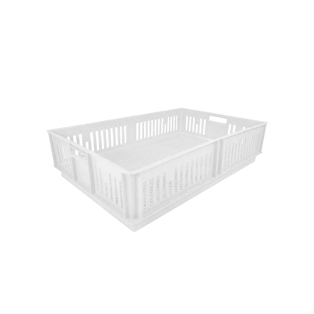 Caja Para Pollitos Sin División Calada