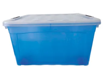 Caja Diego Natural C/T 65lts Con Broche Y Asa