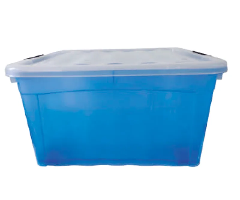 Caja Diego Natural C/T 45lts Con Broche Y Asa