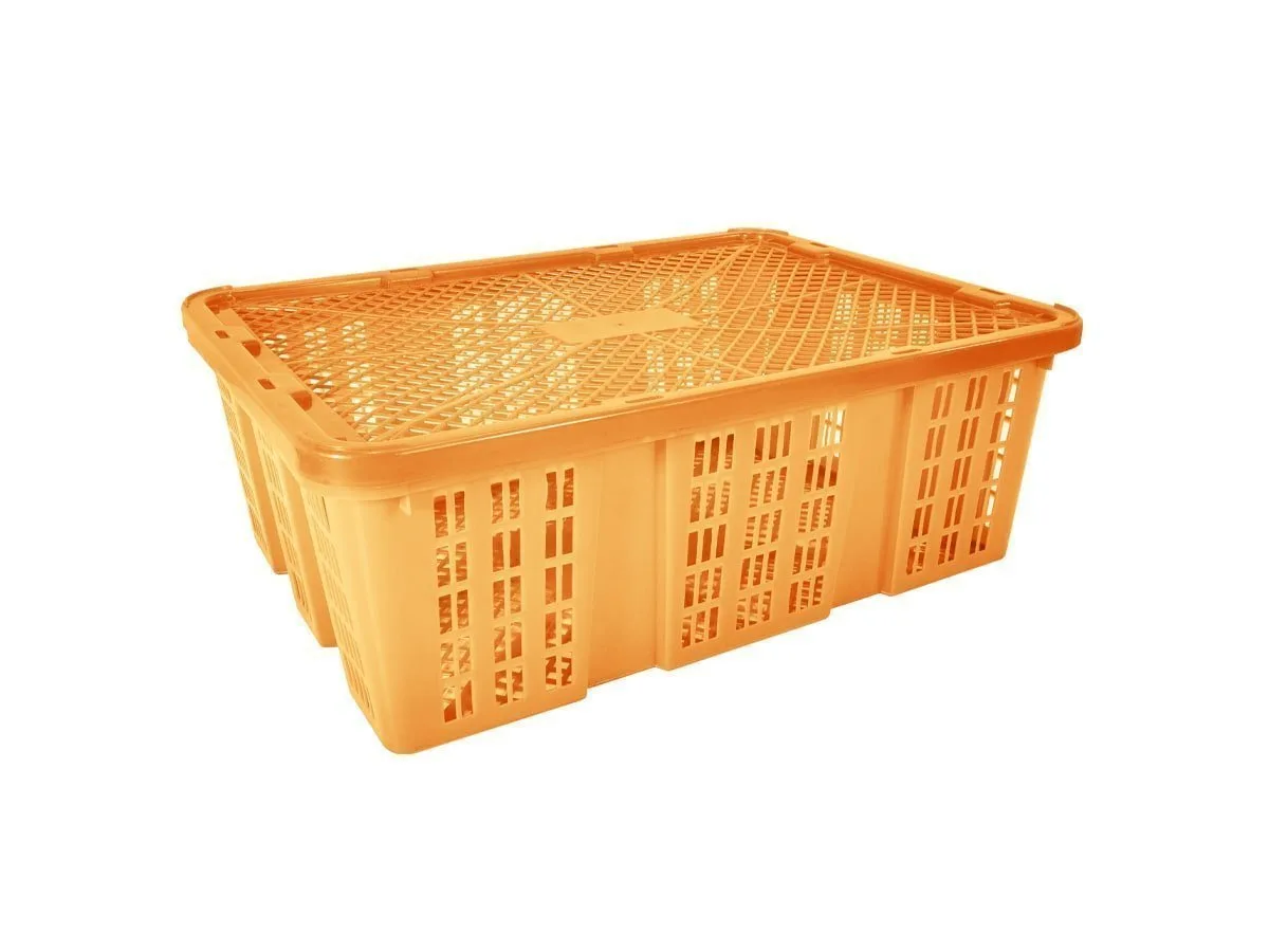 Caja Bamba'o