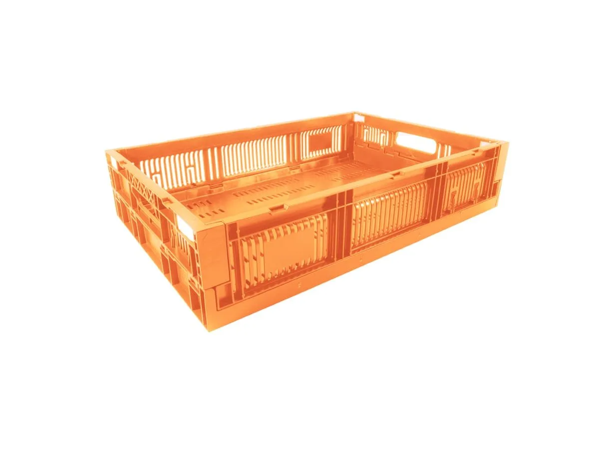 Caja CPR Colapsable
